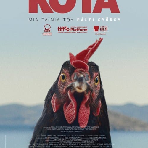 Box Image