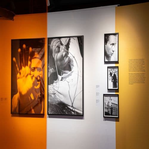 Guided Tour /  Εξερευνώντας τον László Moholy-Nagy μέσα από το Bauhaus