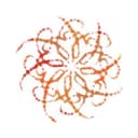 OrganizerImage